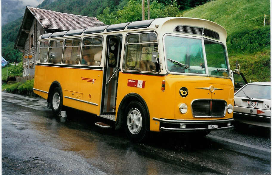 (031'916) - R�ber, Mettmenstetten - ZH 546'297 - FBW/Gangloff (ex P 23'202; ex 21'002) am 6. Juni 1999 in Meiringen, Schwendi