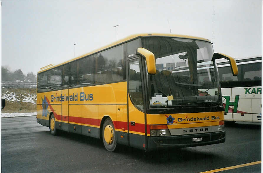 (082'534) - AVG Grindelwald - Nr. 31/BE 365'895 - Setra am 14. Januar 2006 in Z�rich, Flughafen