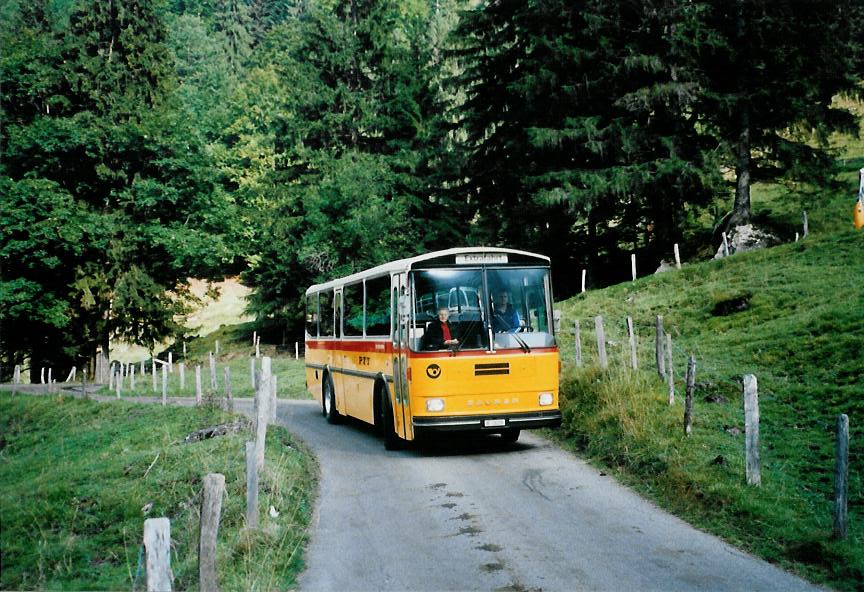 (111'222) - Schmid, Th�rishaus - BE 26'206 - Saurer/T�scher (ex P 24'244) am 27. September 2008 bei Kiental