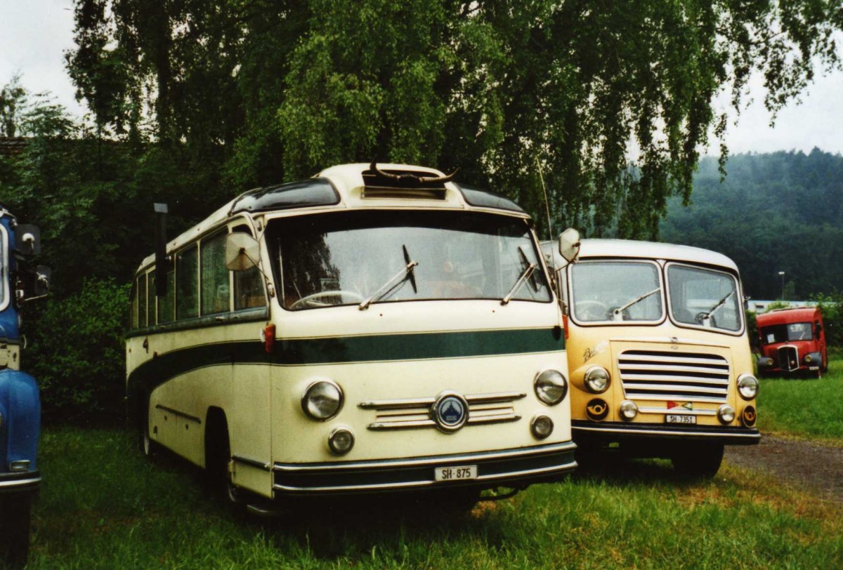 (117'119) - Wehrli, Thayngen - SH 875 - Saurer/Saurer (ex Rieser+Vetter, Frauenfeld) am 6. Juni 2009 in Thayngen, Saurertreffen