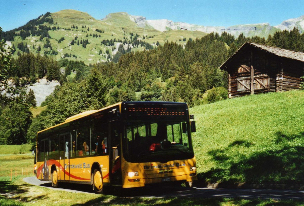 (120'317) - AVG Grindelwald - Nr. 11/BE 261'865 - MAN/G�ppel am 23. August 2009 in Grindelwald, Sch�rli
