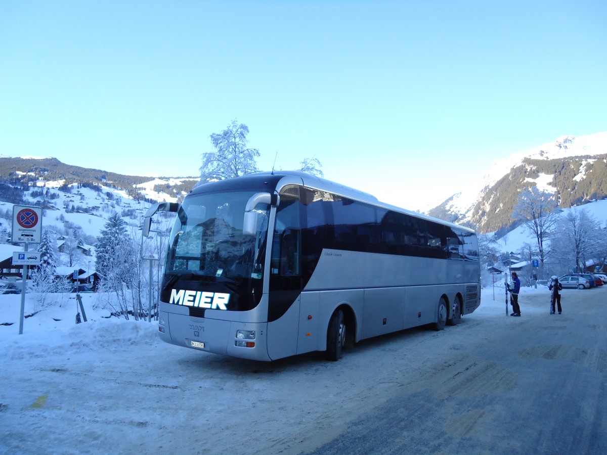 (131'886) - Meier, Z�rich - ZH 316'751 - MAN am 31. Dezember 2010 in Grindelwald, Grund