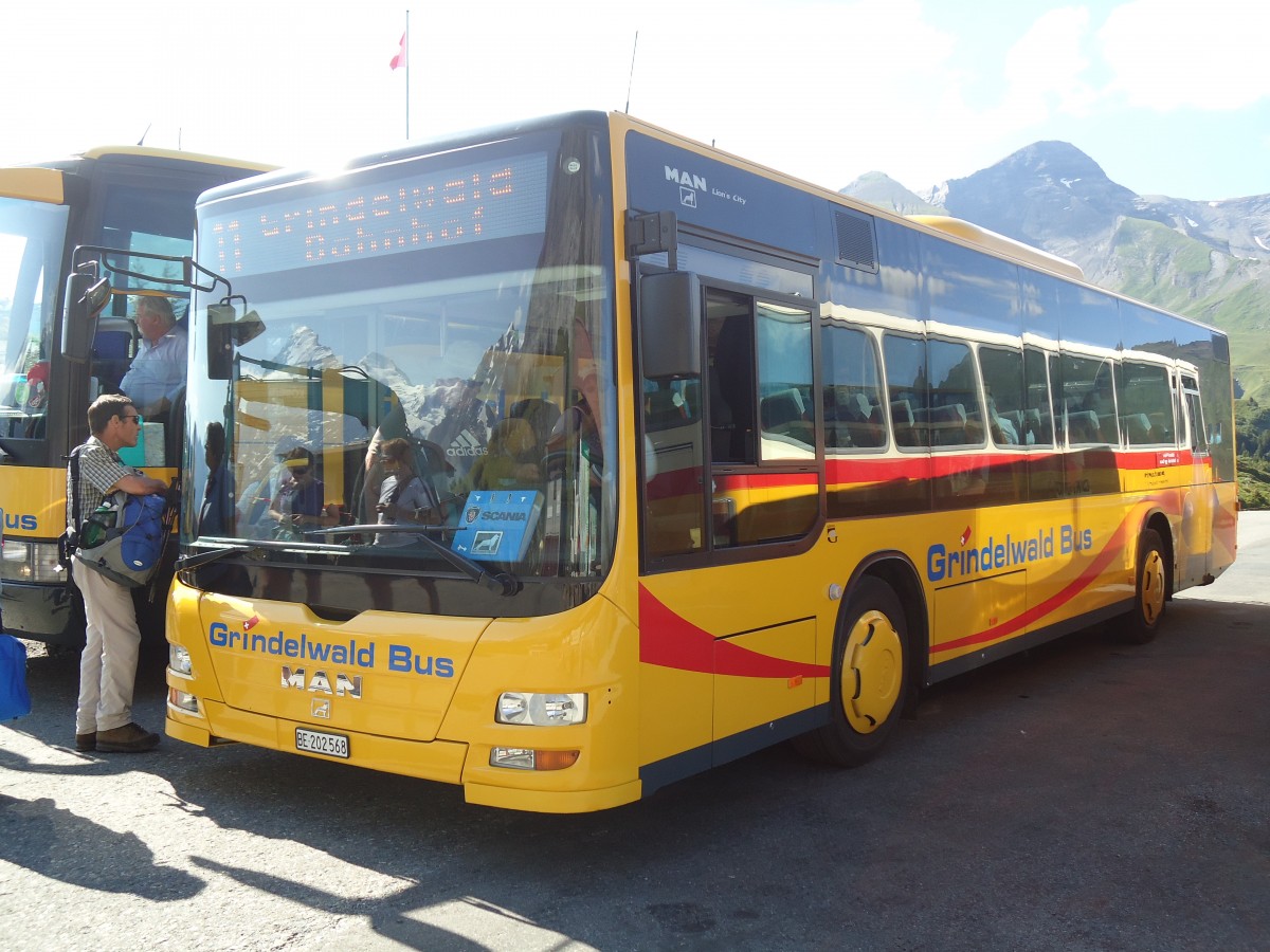 (134'806) - AVG Grindelwald - Nr. 14/BE 202'568 - MAN/G�ppel am 3. Juli 2011 auf der Grossen Scheidegg