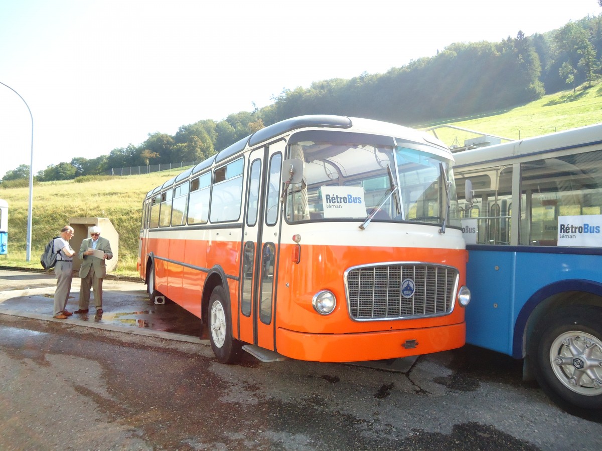 (135'582) - TL Lausanne (R�trobus) - Nr. 239 - Saurer/Gangloff am 20. August 2011 in Moudon, R�trobus
