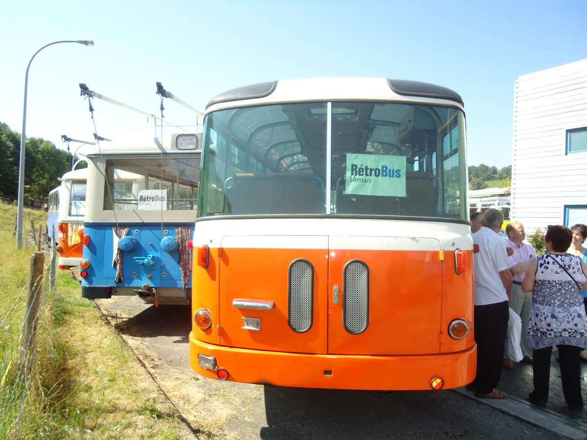 (135'621) - TL Lausanne (R�trobus) - Nr. 239 - Saurer/Gangloff am 20. August 2011 in Moudon, R�trobus