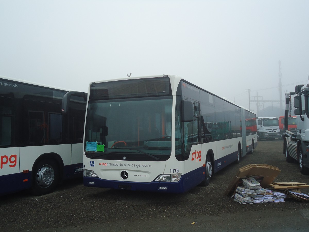 (136'881) - TPG Gen�ve - Nr. 1175 - Mercedes am 23. November 2011 in Wil, Larag