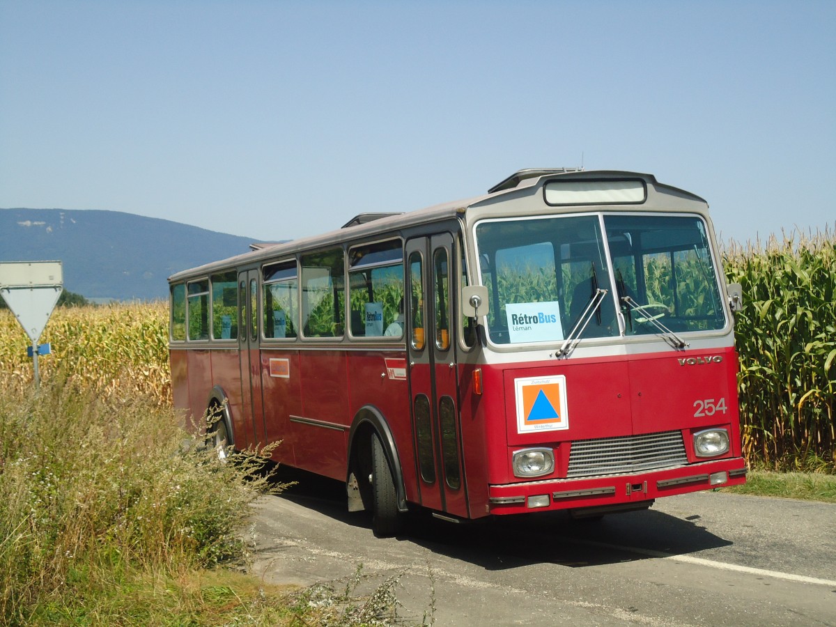 (141'326) - Zivilschutz, Winterthur (R�trobus) - Nr. 254/VD 722'000 - Volvo/T�scher (ex WV Winterthur Nr. 254) am 19. August 2012 in Yvonand, Halle TVS