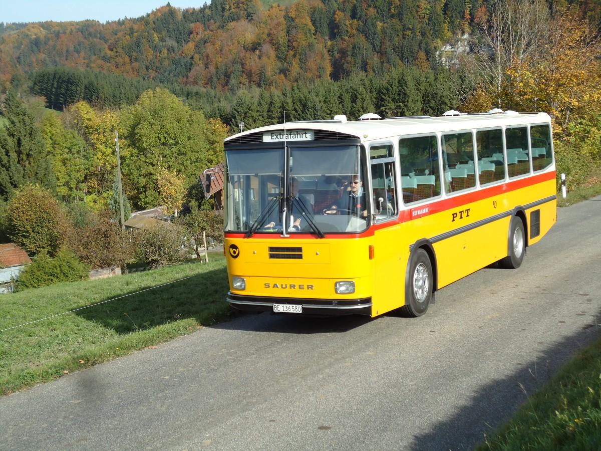 (142'019) - Schumacher, Liebefeld - BE 136'580 - Saurer/T�scher (ex Zimmermann, Niederwangen; ex P 24'289) am 21. Oktober 2012 bei Zumholz