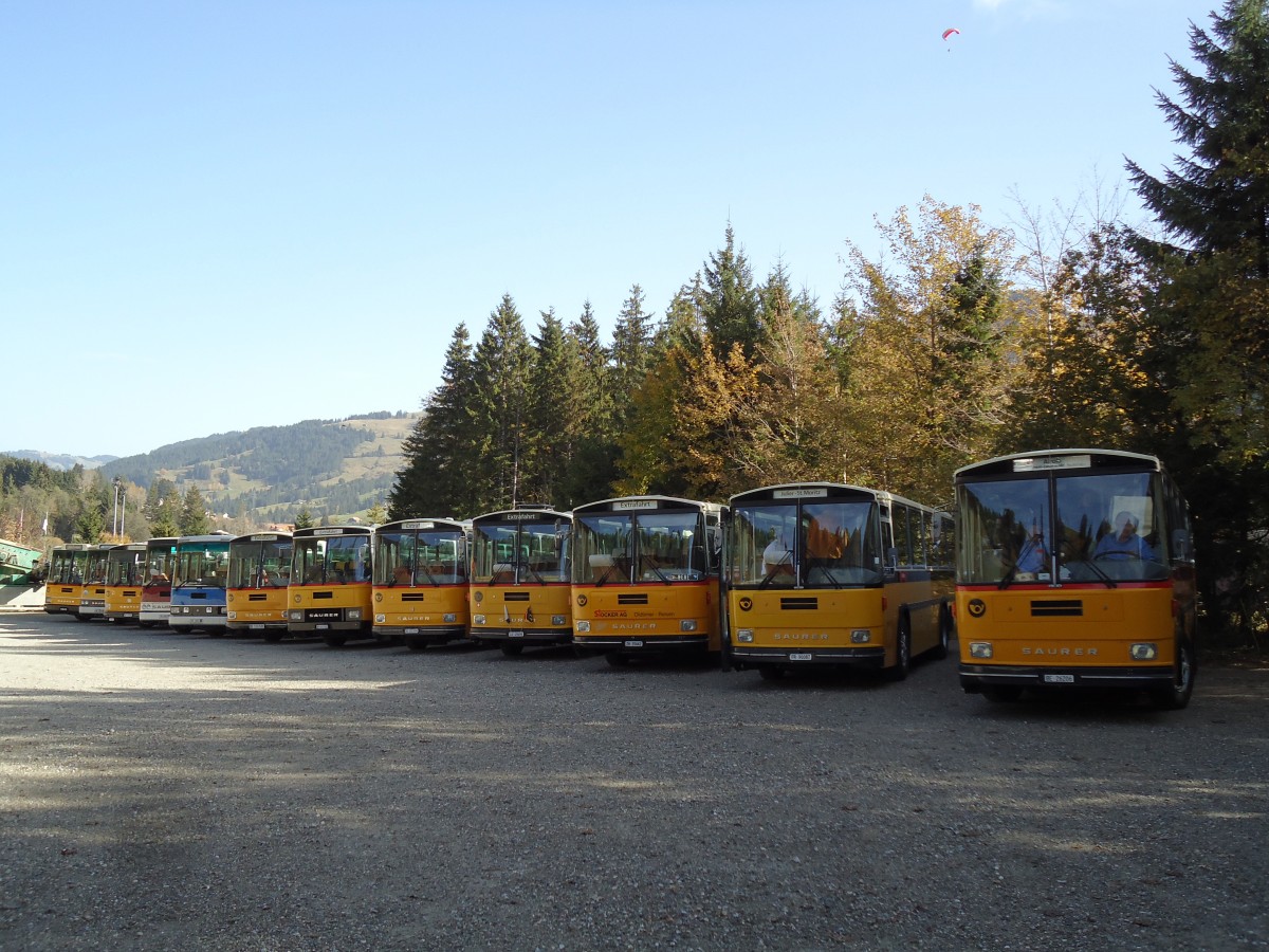 (142'038) - Schmid, Th�rishaus - BE 26'206 - Saurer/T�scher (ex P 24'244) am 21. Oktober 2012 in Schwarzsee, Schwyberg