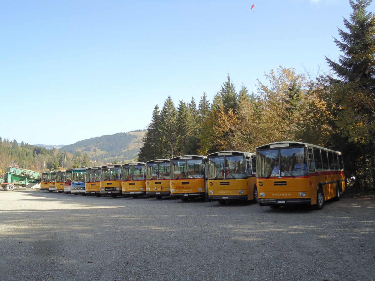 (142'039) - Schmid, Th�rishaus - BE 26'206 - Saurer/T�scher (ex P 24'244) am 21. Oktober 2012 in Schwarzsee, Schwyberg