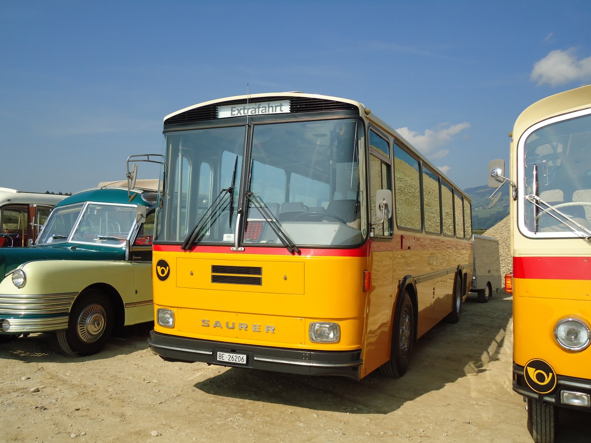 (146'574) - Schmid, Th�rishaus - BE 26'206 - Saurer/T�scher (ex P 24'244) am 31. August 2013 in Niederbipp, Saurertreffen