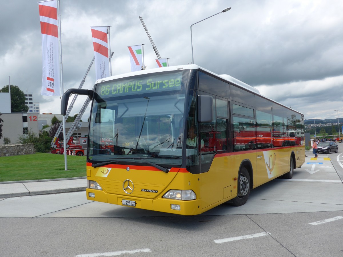 (154'565) - H�fliger, Sursee - Nr. 6/LU 196'102 - Mercedes am 30. August 2014 in Oberkirch, CAMPUS Sursee