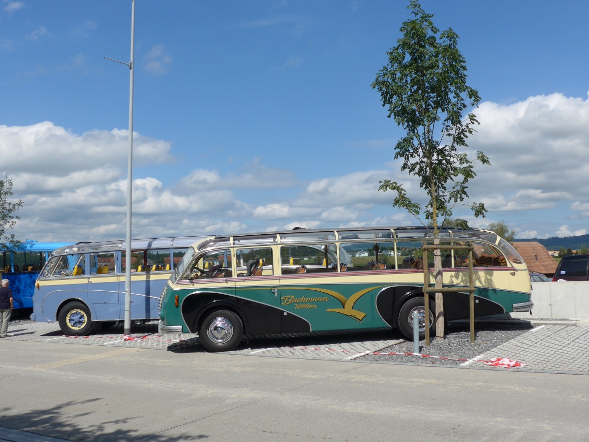 (154'590) - Bachmann, K�lliken - AG 96'310 - Saurer/R&J (ex BSF Hochdorf; ex Wenger, Interlaken) am 30. August 2014 in Oberkirch, CAMPUS Sursee