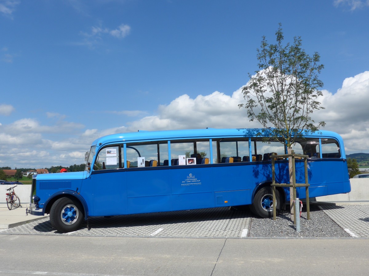 (154'591) - Steinacher, Gansingen - AG 11'279 U - Saurer/Saurer (ex B�rgin, Liestal; ex Gemeinde Spiez, Spiez; ex P 29'990; ex P 24'557; ex AMB Balsthal) am 30. August 2014 in Oberkirch, CAMPUS Sursee