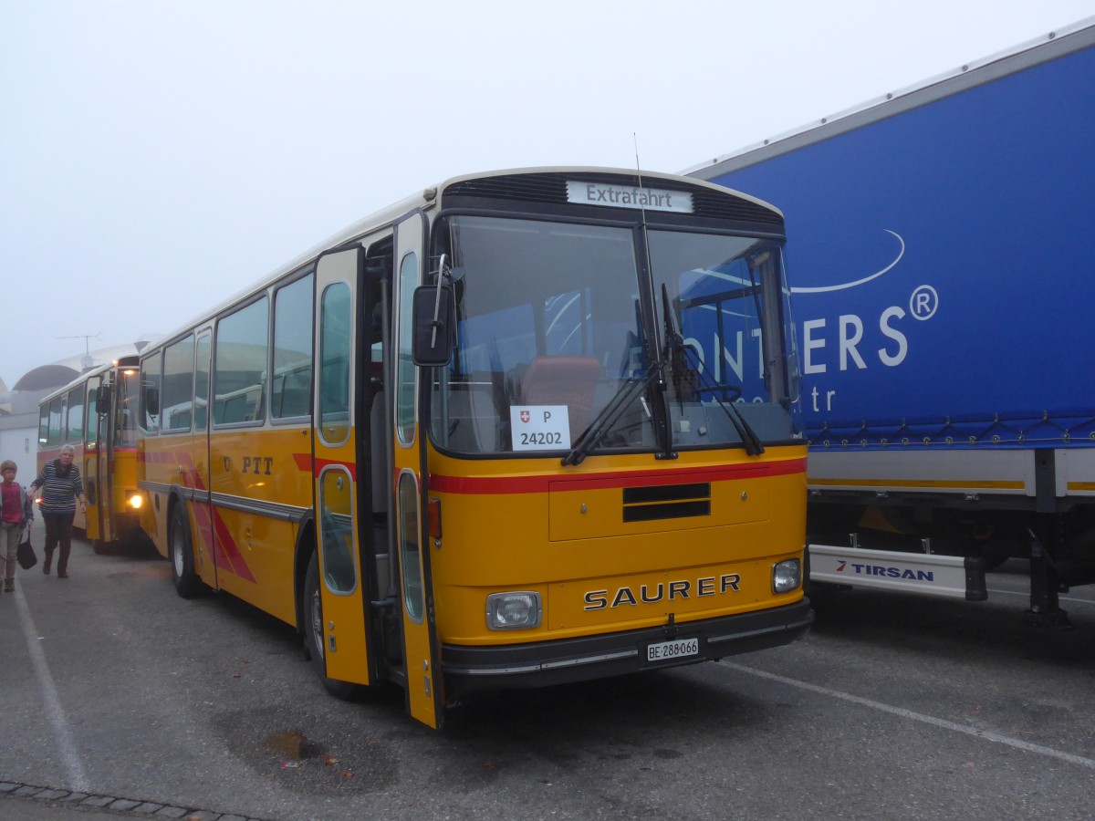 (155'596) - Thommen, Sutz - BE 288'066 - Saurer/Hess (ex P 24'202) am 12. Oktober 2014 in Deitingen, Autobahnrastst�tte