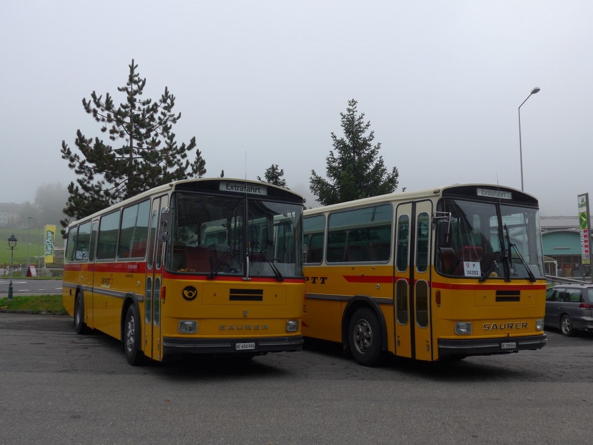 (155'629) - Kammermann, Spiez - BE 650'996 - Saurer/Hess (ex Flury, Balm; ex P 24'233) am 12. Oktober 2014 in K�ssnacht, Rest. Frohsinn
