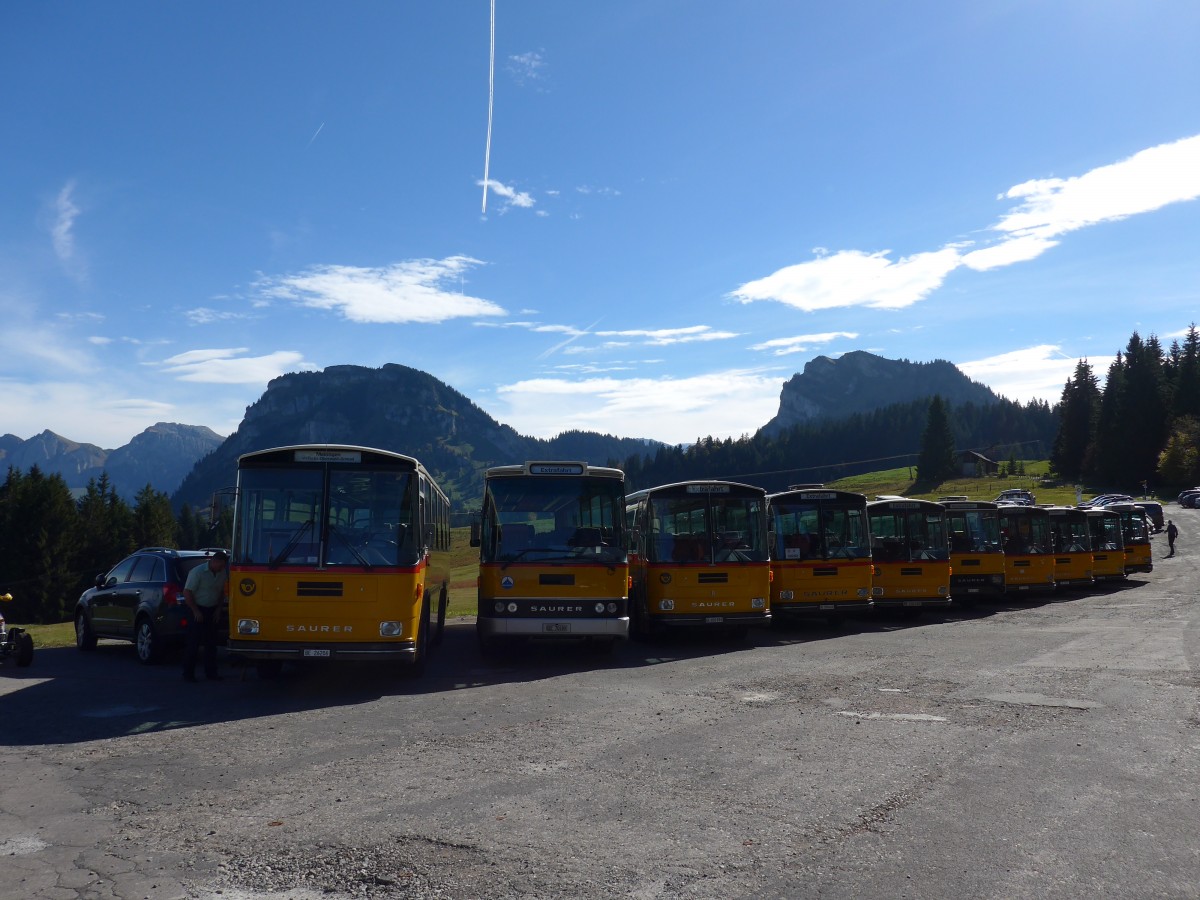(155'651) - Schmid, Th�rishaus - BE 26'206 - Saurer/T�scher (ex P 24'244) am 12. Oktober 2014 in Willerzell, Rest. Sattelegg