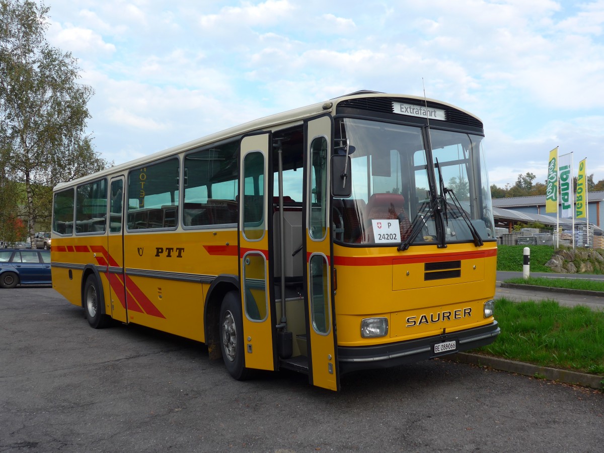 (155'678) - Thommen, Sutz - BE 288'066 - Saurer/Hess (ex P 24'202) am 12. Oktober 2014 in K�ssnacht, Rest. Frohsinn