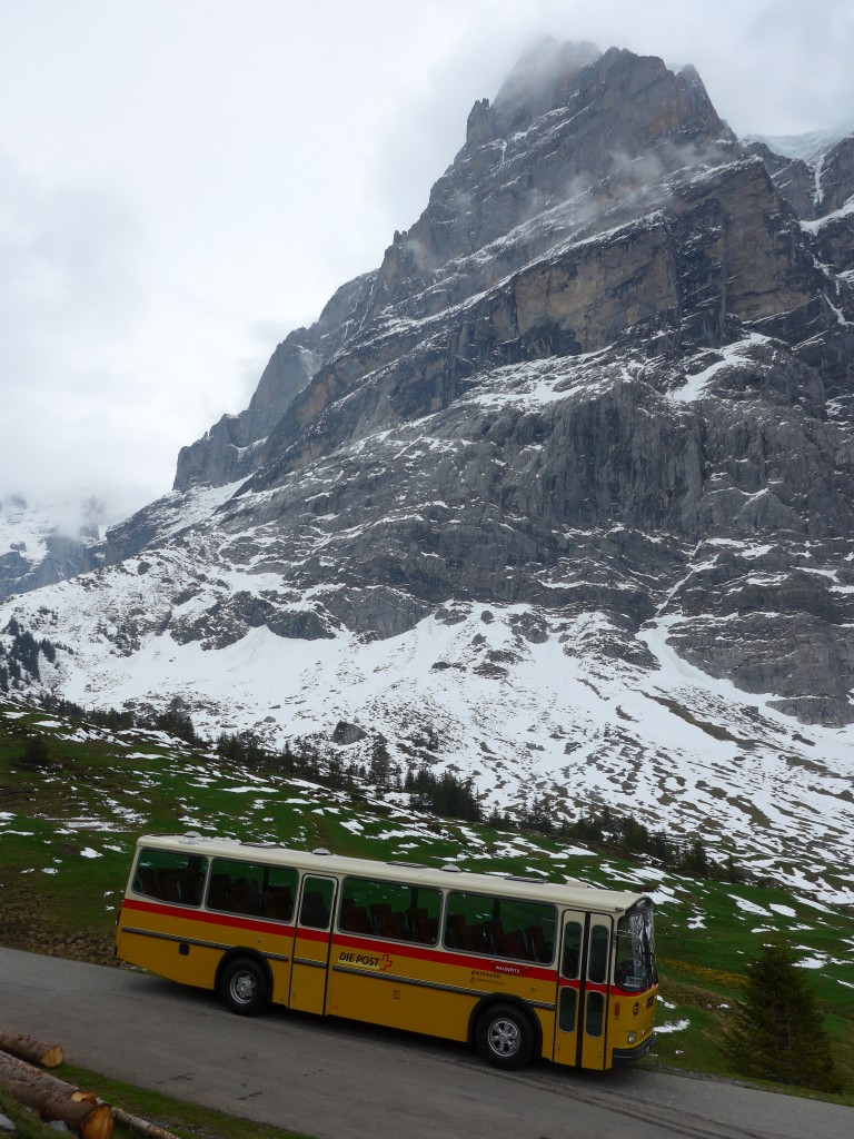 (161'013) - AVG Meiringen - Nr. 74/BE 607'481 - Saurer/R&J (ex PostAuto Berner Oberland; ex P 24'357) am 25. Mai 2015 in Grindelwald, Oberer Lauchb�hl