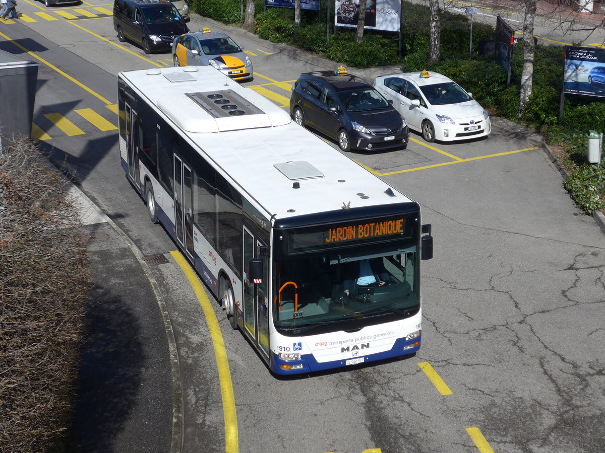 (169'151) - Globe-Limo, Gen�ve - Nr. 1910/GE 960'977 - MAN am 7. M�rz 2016 in Gen�ve, Palexpo