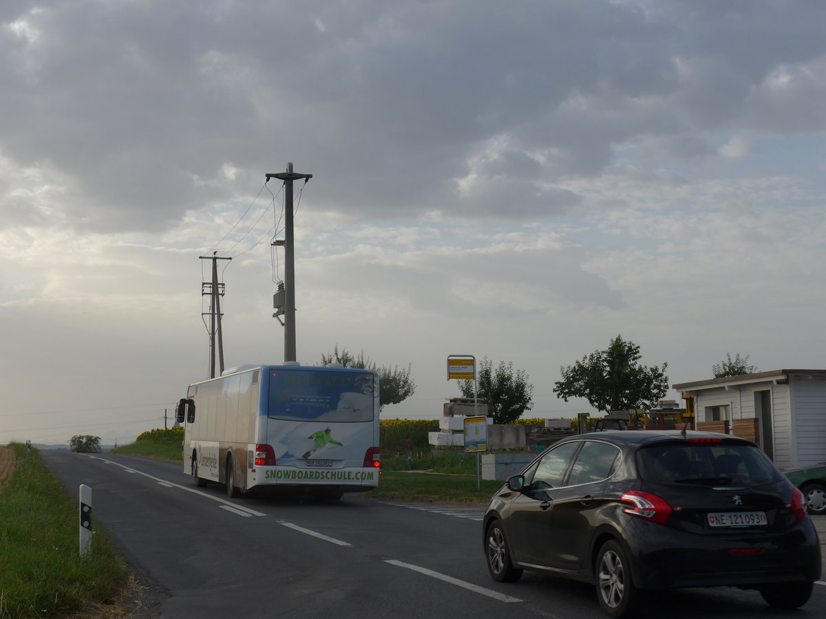 (173'223) - Bossi&Hemmi, Tiefencastel - GR 102'381 - MAN am 21. Juli 2016 in Valeyres-sous-Rances, Crois�e du Chalet (Einsatz PostAuto)