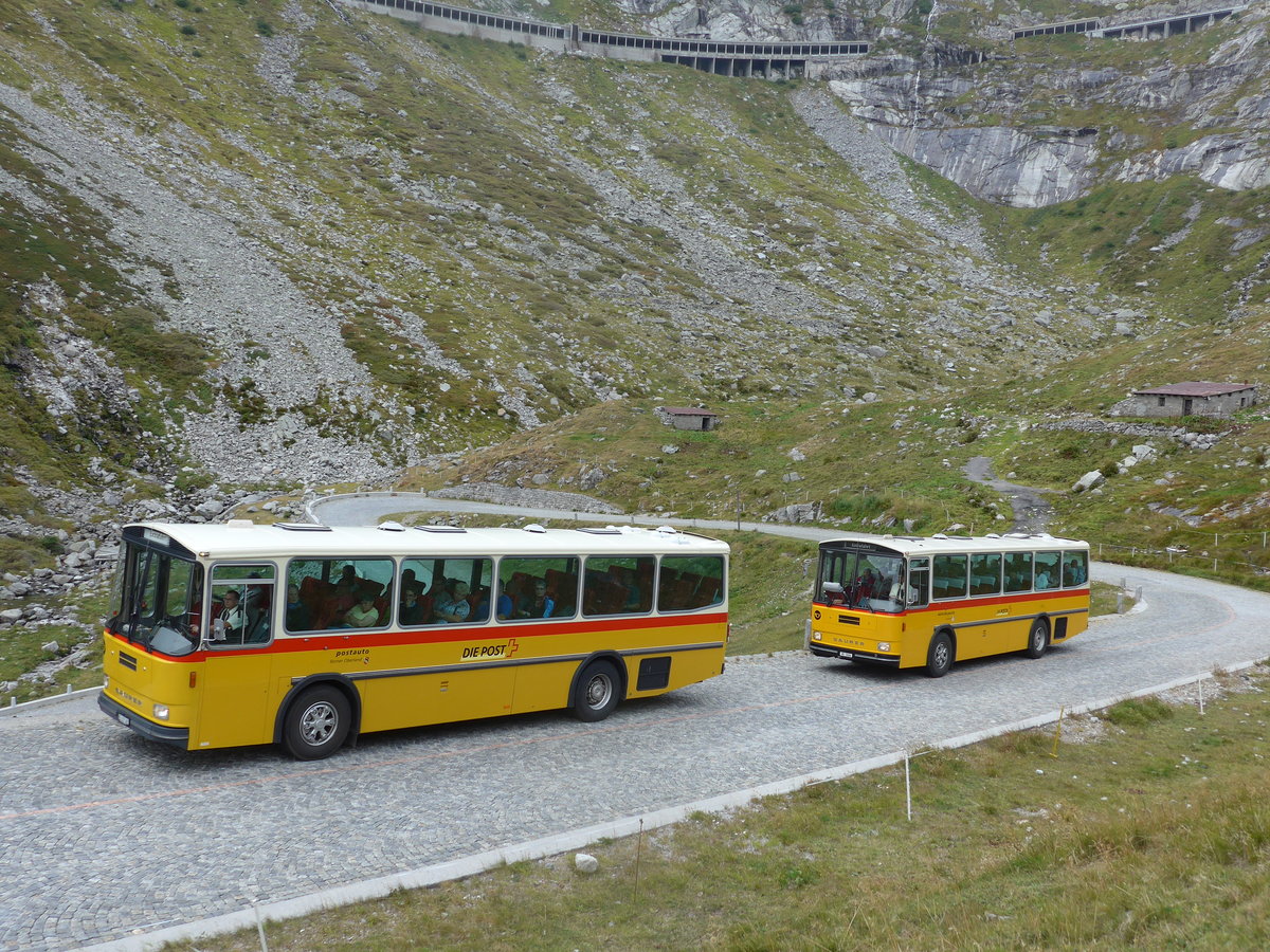(174'997) - AVG Meiringen - Nr. 74/BE 607'481 - Saurer/R&J (ex P 24'357) + Mark, Andeer - GR 1866 - Saurer/R&J (ex PostAuto Graub�nden; ex P 24'350) am 18. September 2016 am Gotthard, Alte Tremolastrasse