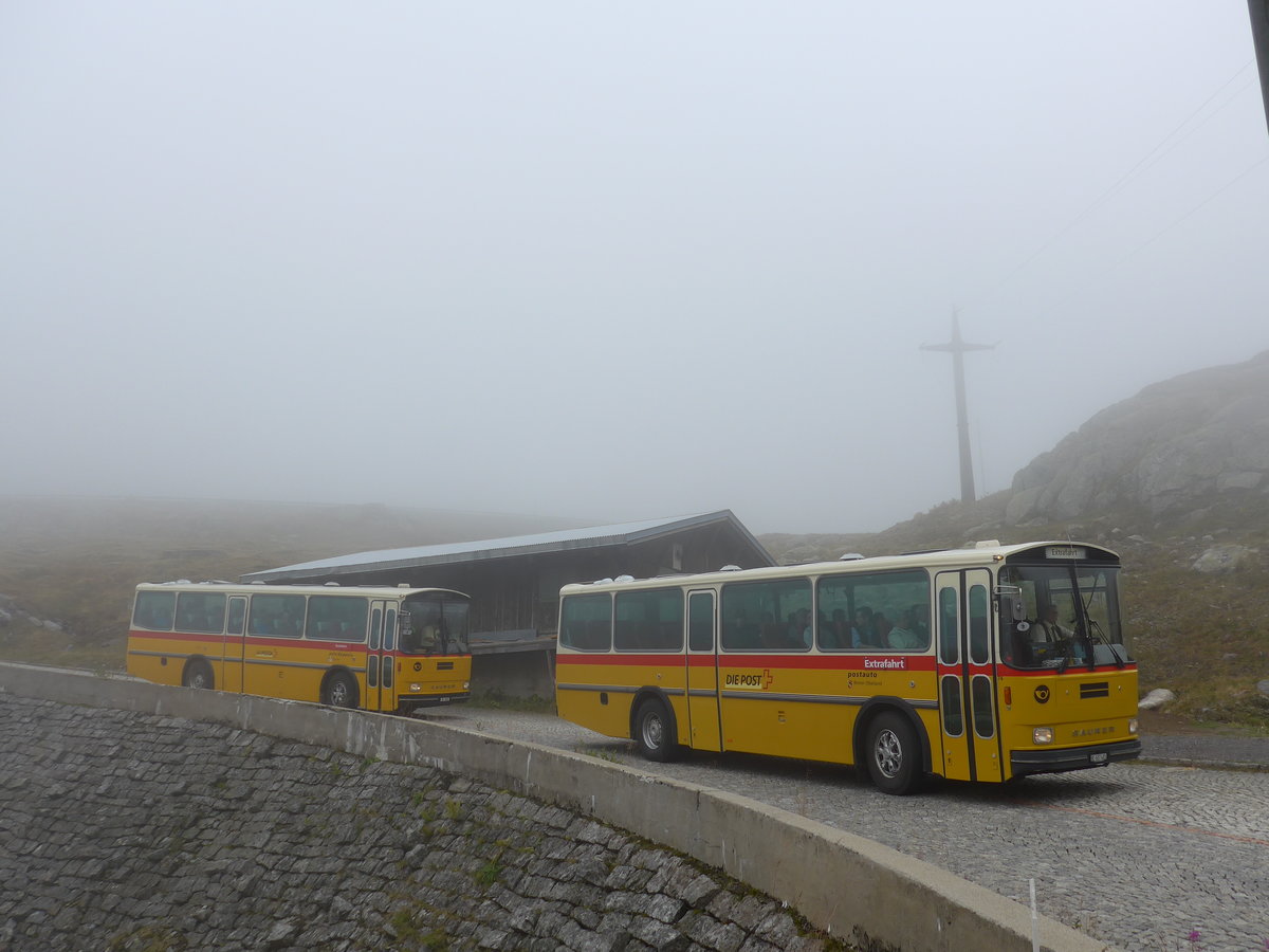 (175'024) - Mark, Andeer - GR 1866 - Saurer/R&J (ex PostAuto Graub�nden; ex P 24'350) + AVG Meiringen - Nr. 74/BE 607'481 - Saurer/R&J (ex P 24'357) am 18. September 2016 am Gotthard, Alte Tremolastrasse