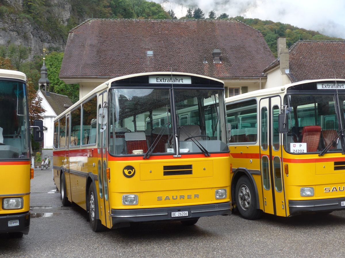 (175'312) - Schmid, Th�rishaus - BE 26'206 - Saurer/T�scher (ex P 24'244) am 2. Oktober 2016 in Oensingen, Bad Klus