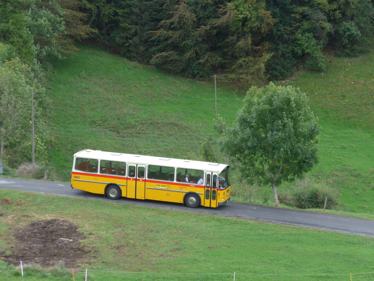 (175'351) - W�thrich, Ursenbach - Nr. 5/BE 10'185 - Saurer/T�scher (ex Sch�rch, Gutenburg Nr. 5; ex Engeloch, Riggisberg Nr. 5; ex P 25'668) am 2. Oktober 2016 am Scheltenpass (Bernerseite)