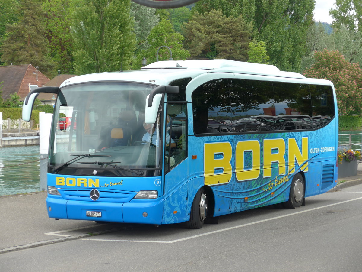 (180'166) - Born, Olten - Nr. 9/SO 105'777 - Mercedes am 20. Mai 2017 bei der Schiffl�ndte Thun