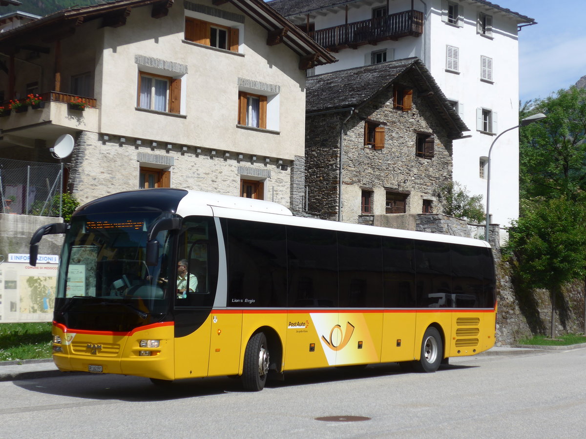 (180'500) - PostAuto Graub�nden - GR 162'991 - MAN am 23. Mai 2017 in Mesocco, Stazione