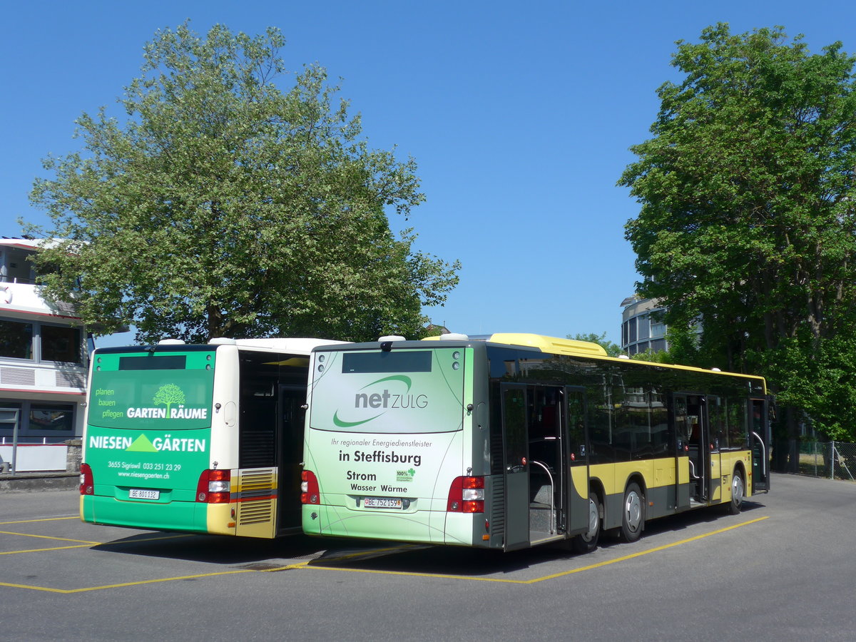 (180'902) - STI Thun - Nr. 159/BE 752'159 - MAN am 29. Mai 2017 bei der Schiffl�ndte Thun