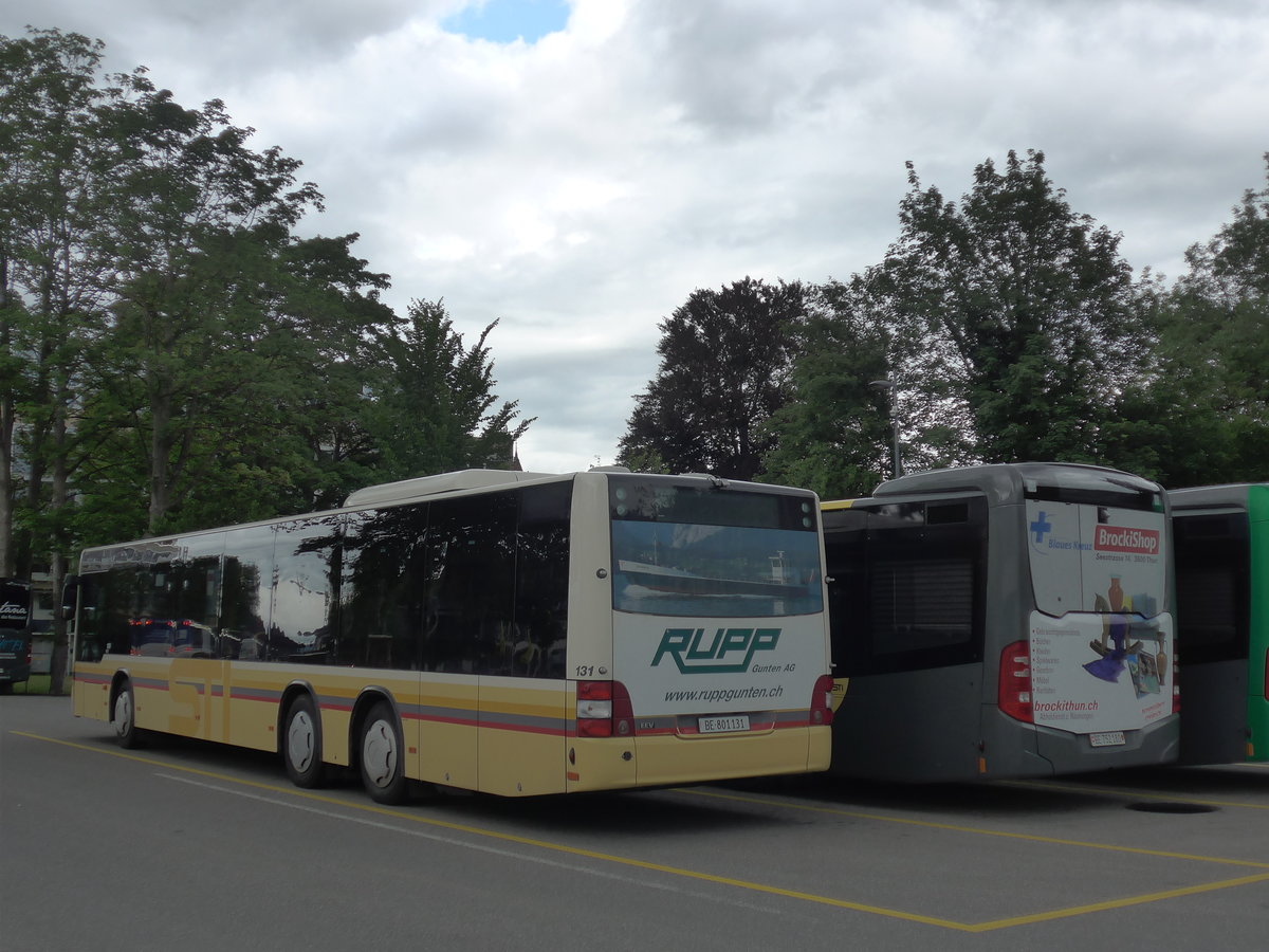 (180'986) - STI Thun - Nr. 131/BE 801'131 - MAN am 4. Juni 2017 bei der Schiffl�ndte Thun