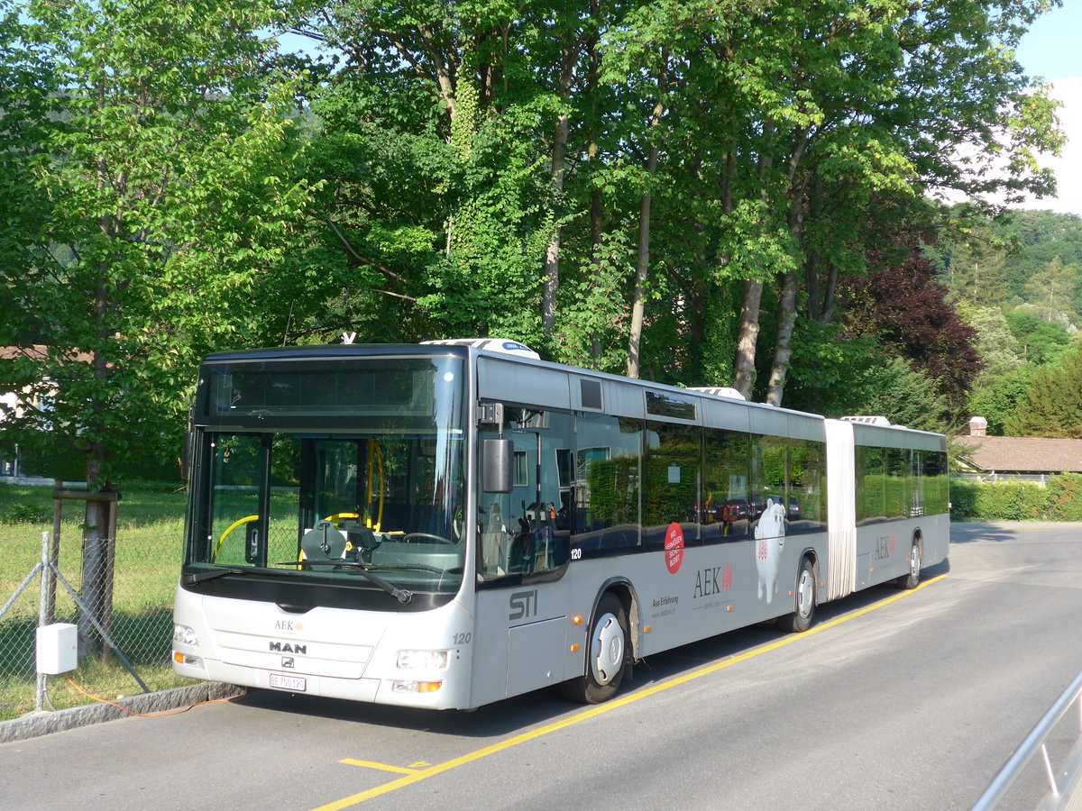(181'224) - STI Thun - Nr. 120/BE 700'120 - MAN am 19. Juni 2017 bei der Schiffl�ndte Thun