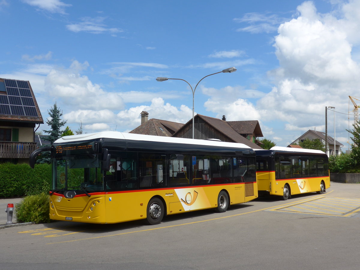 (181'987) - Moser, Flaach - Nr. 289/ZH 480'005 - G�ppel am 10. Juli 2017 in Altikon, Br�ckenwaage