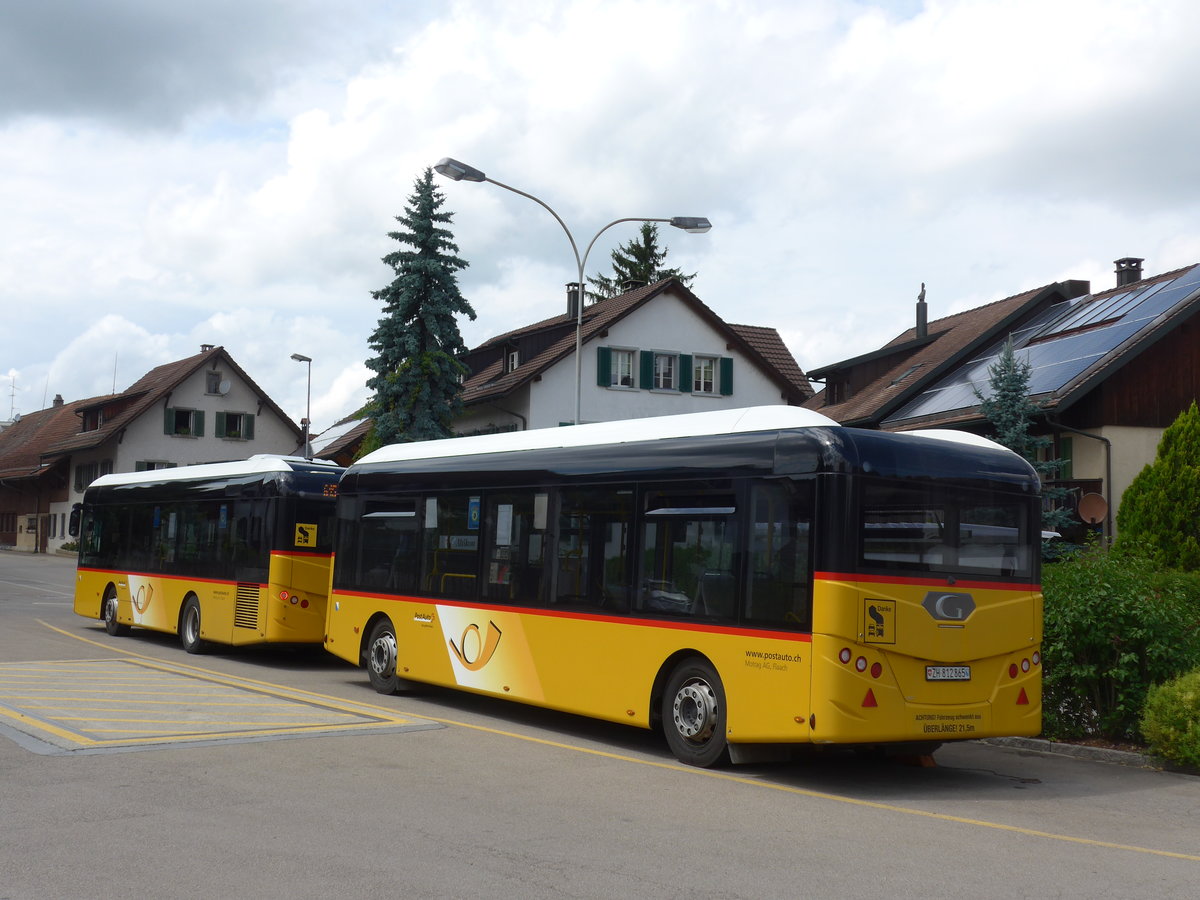 (181'989) - Moser, Flaach - Nr. 290/ZH 812'865 - G�ppel Personenanh�nger am 10. Juli 2017 in Altikon, Br�ckenwaage