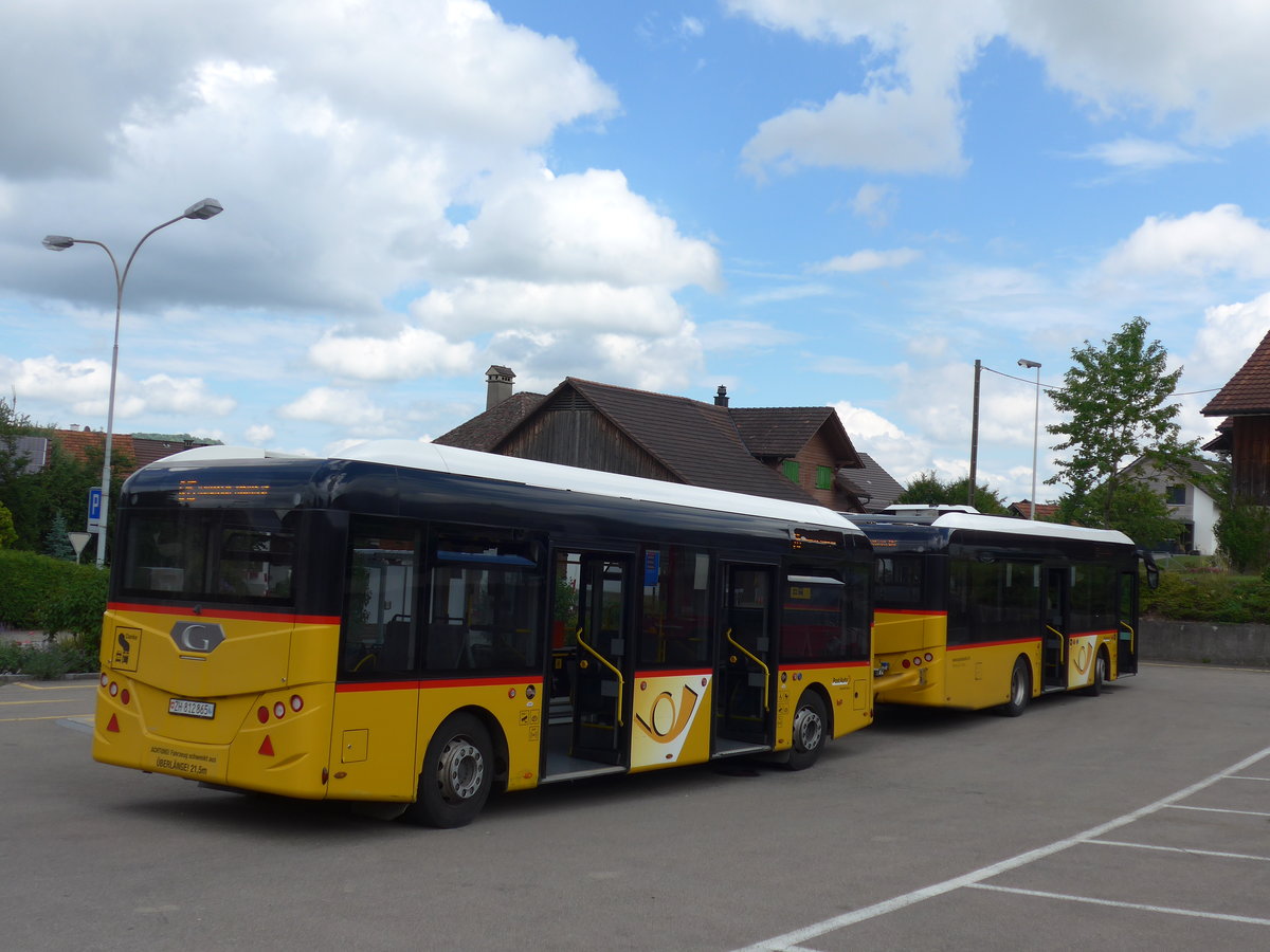 (181'995) - Moser, Flaach - Nr. 290/ZH 812'865 - G�ppel Personenanh�nger am 10. Juli 2017 in Altikon, Br�ckenwaage