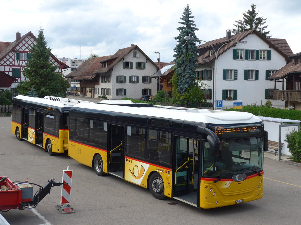 (181'999) - Moser, Flaach - Nr. 289/ZH 480'005 - G�ppel am 10. Juli 2017 in Altikon, Br�ckenwaage
