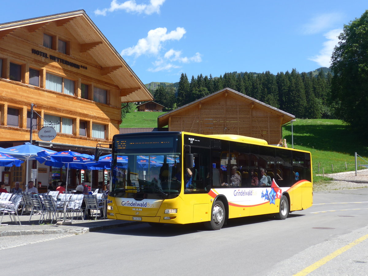 (182'347) - AVG Grindelwald - Nr. 11/BE 261'865 - MAN/G�ppel am 30. Juli 2017 in Grindelwald, Oberer Gletscher