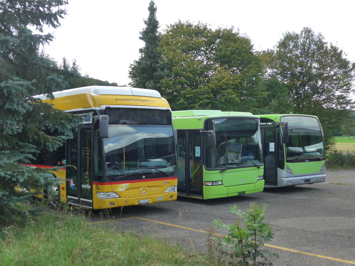 (183'752) - Voegtlin-Meyer, Brugg - Nr. 274/AG 426'274 - Mercedes am 20. August 2017 in D�bendorf, EvoBus (Teilaufnahme)