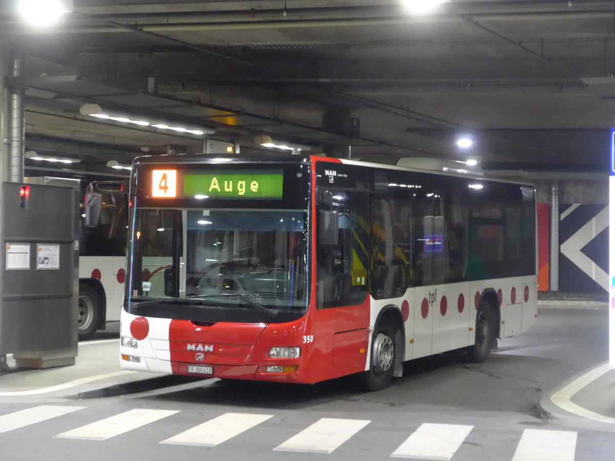 (195'365) - TPF Fribourg - Nr. 350/FR 300'418 - MAN/G�ppel am 31. Juli 2018 in Fribourg, Busbahnhof