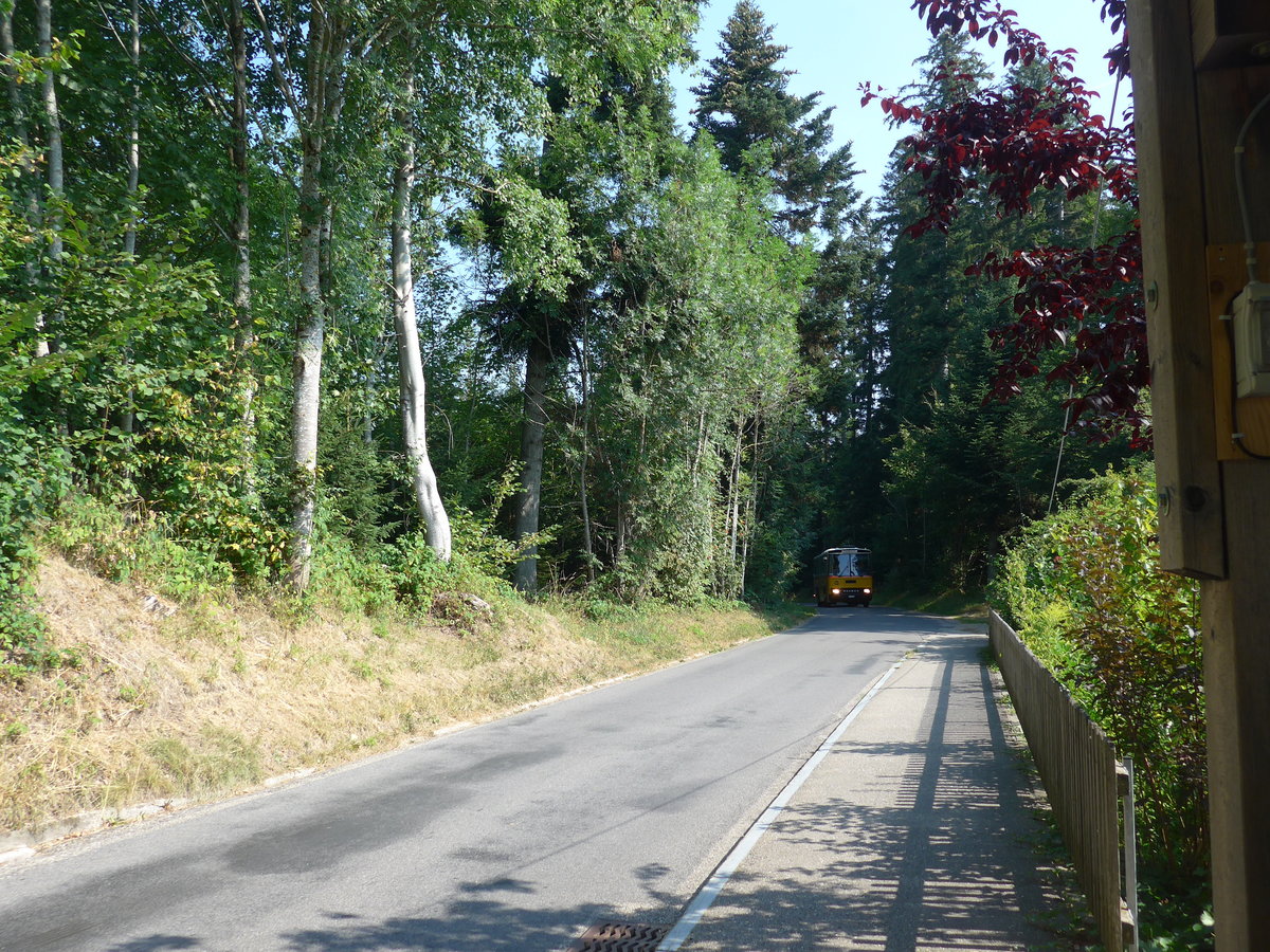 (195'551) - Bernair, M�nsingen - BE 651'182 - Saurer/T�scher (ex Schebath, Lauerz; ex Albin, F�llanden; ex Heim, Flums) am 5. August 2018 in Emmenmatt, Moosegg