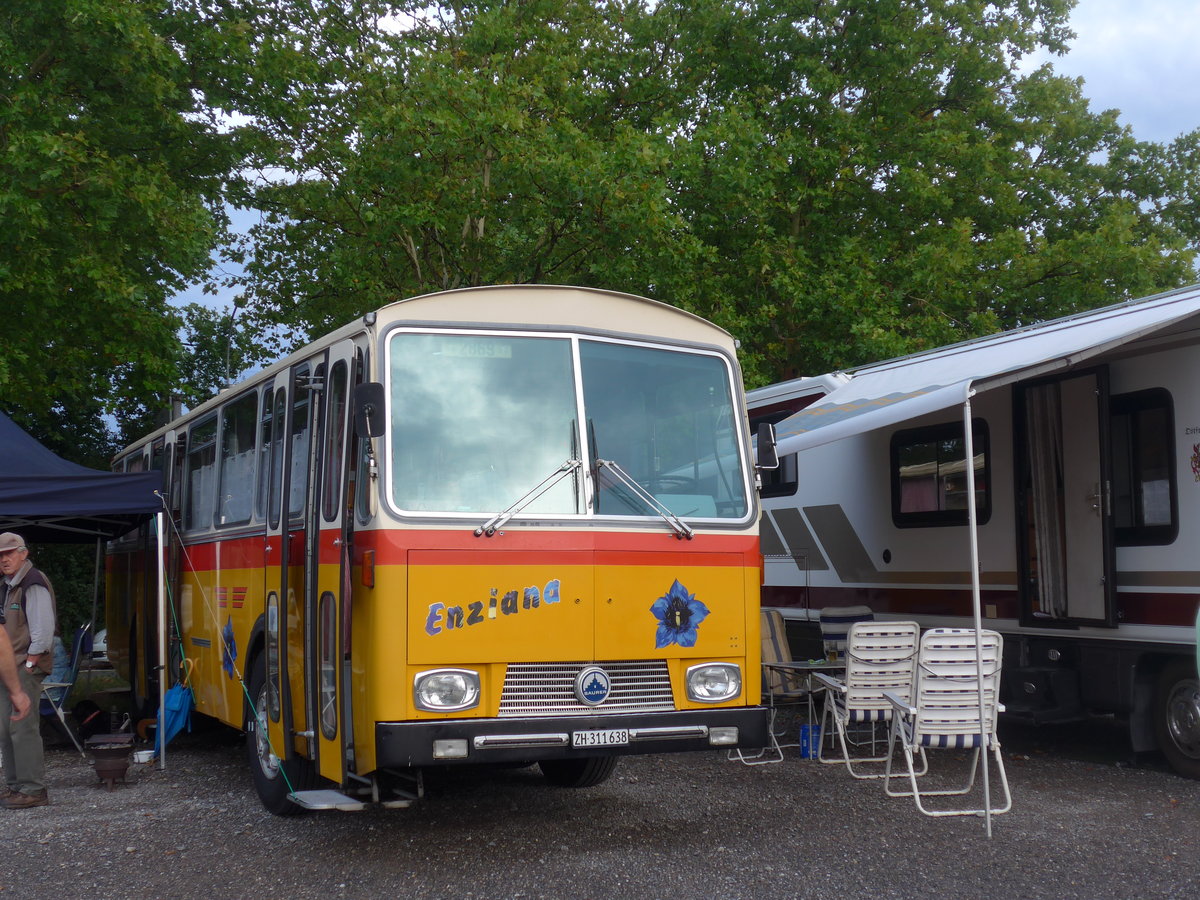 (195'862) - G�hwiler, Birmensdorf - ZH 311'638 - Saurer/T�scher (ex AVG Grindelwald Nr. 12; ex Steiger, Schlatt) am 17. August 2018 in Wettingen, Zirkuswiese