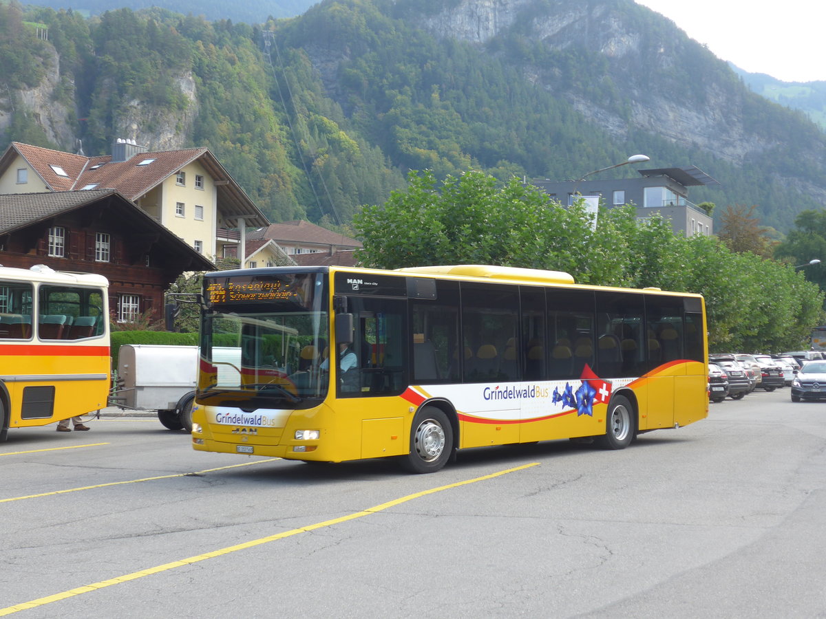 (197'672) - AVG Grindelwald - Nr. 14/BE 202'568 - MAN/G�ppel am 16. September 2018 in Meiringen, Postautostation