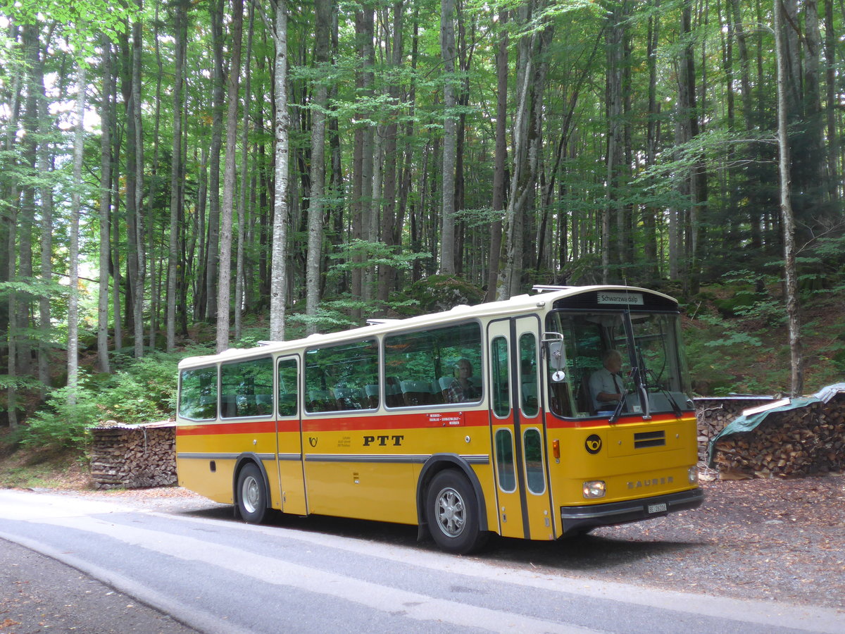 (197'743) - Schmid, Th�rishaus - BE 26'206 - Saurer/T�scher (ex P 24'244) am 16. September 2018 bei Geissholz