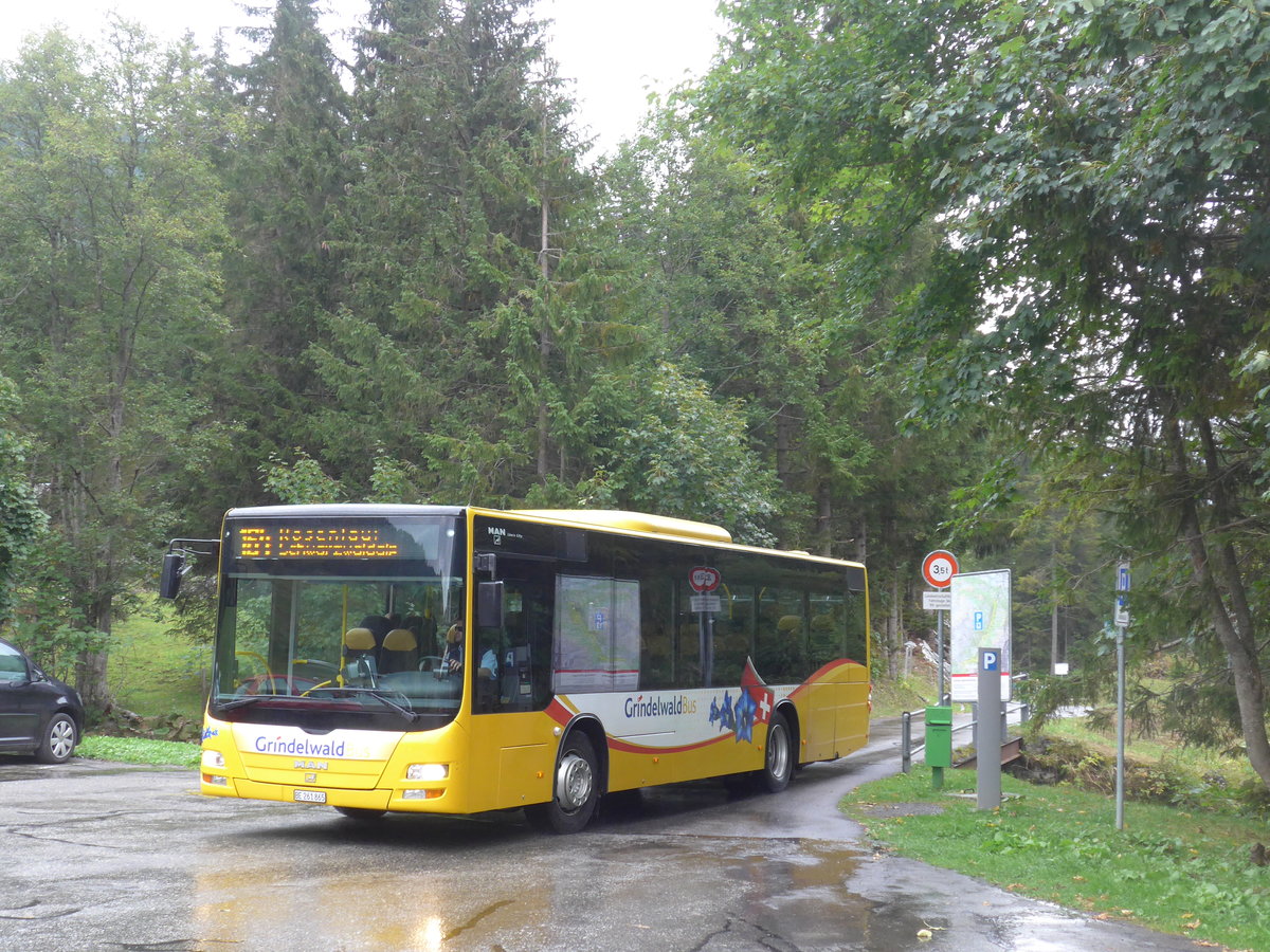 (197'808) - AVG Grindelwald - Nr. 11/BE 261'865 - MAN/G�ppel am 16. September 2018 auf der Schwarzwaldalp