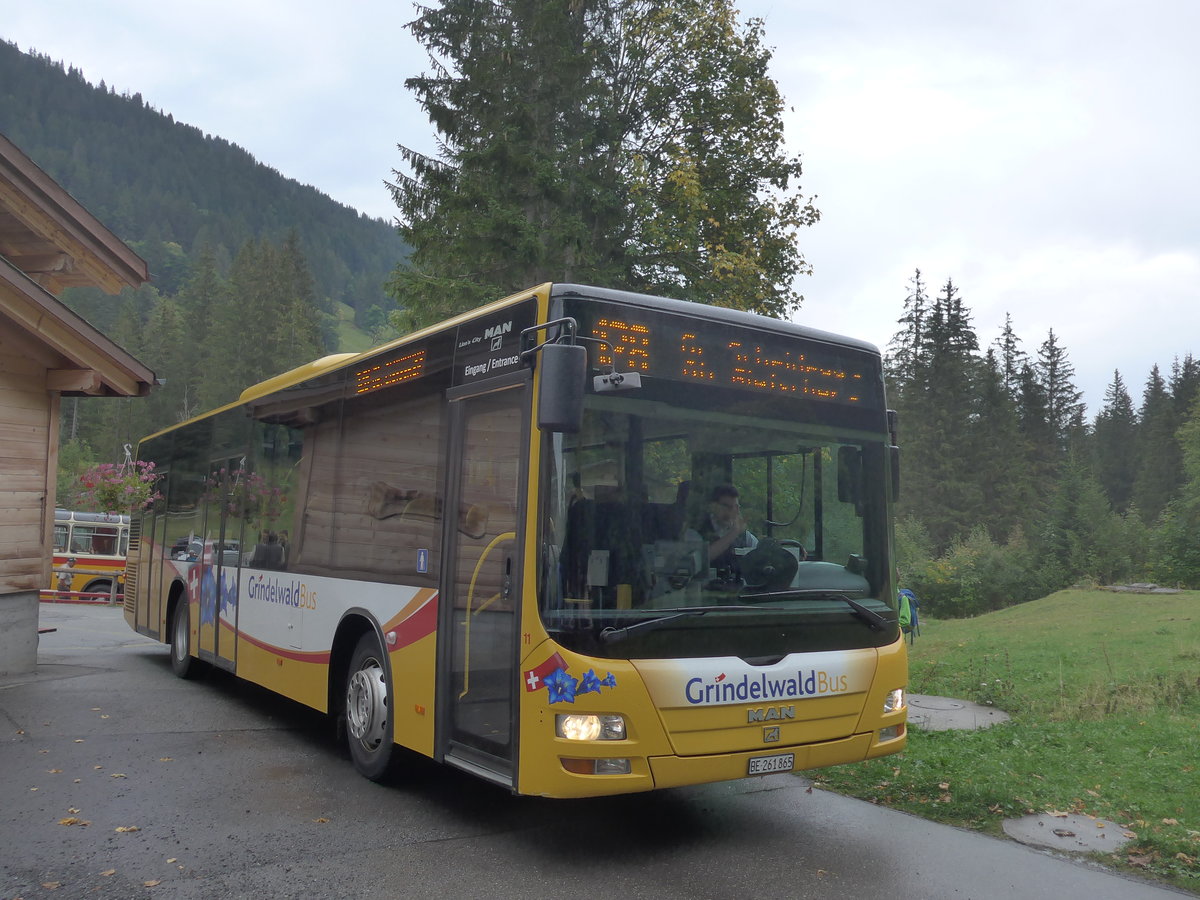 (197'810) - AVG Grindelwald - Nr. 11/BE 261'865 - MAN/G�ppel am 16. September 2018 auf der Schwarzwaldalp