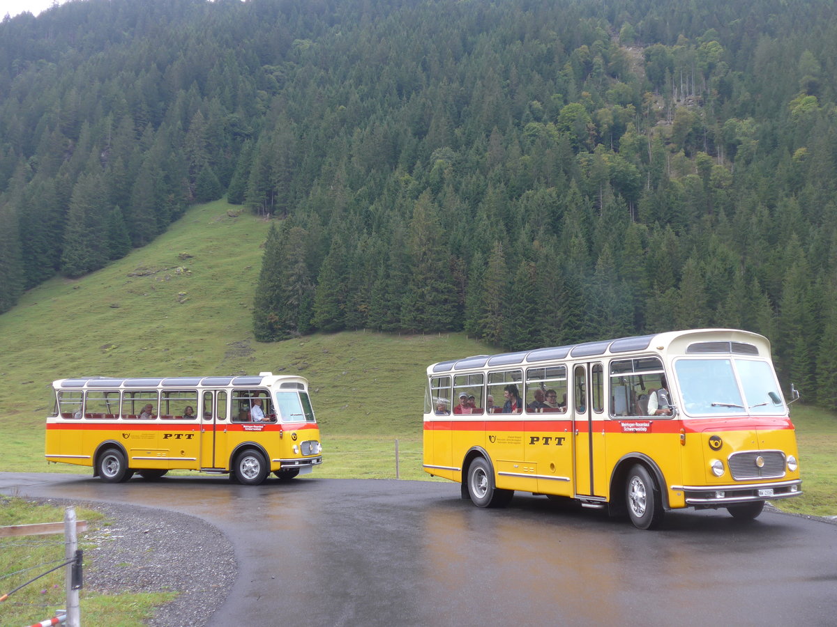 (197'823) - Frutig, Birmensdorf - ZH 560'883 - FBW/FHS (ex P 23'217) + M�ller, Ennetmoos - NW 23'167 - FBW/Gangloff (ex Rentsch, Gunten; ex P 23'203; ex P 21'003) am 16. September 2018 in Gschwandtenmaad