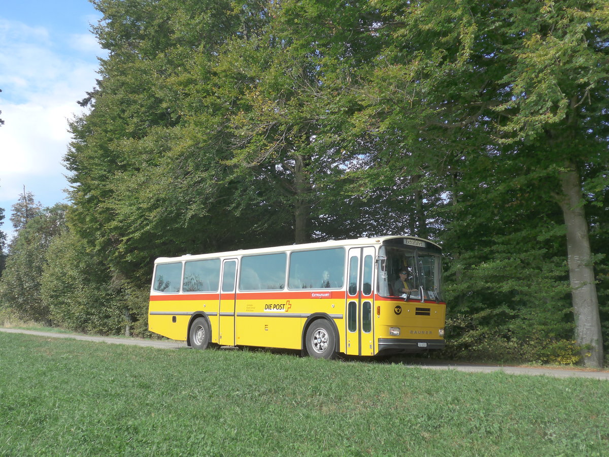 (198'008) - Schmid, Glarus - GL 4012 - Saurer/T�scher (ex Mosimann, Aesch; ex Erne, Full; ex P 24'257) am 30. September 2018 in Wasen, Huttwilstrasse