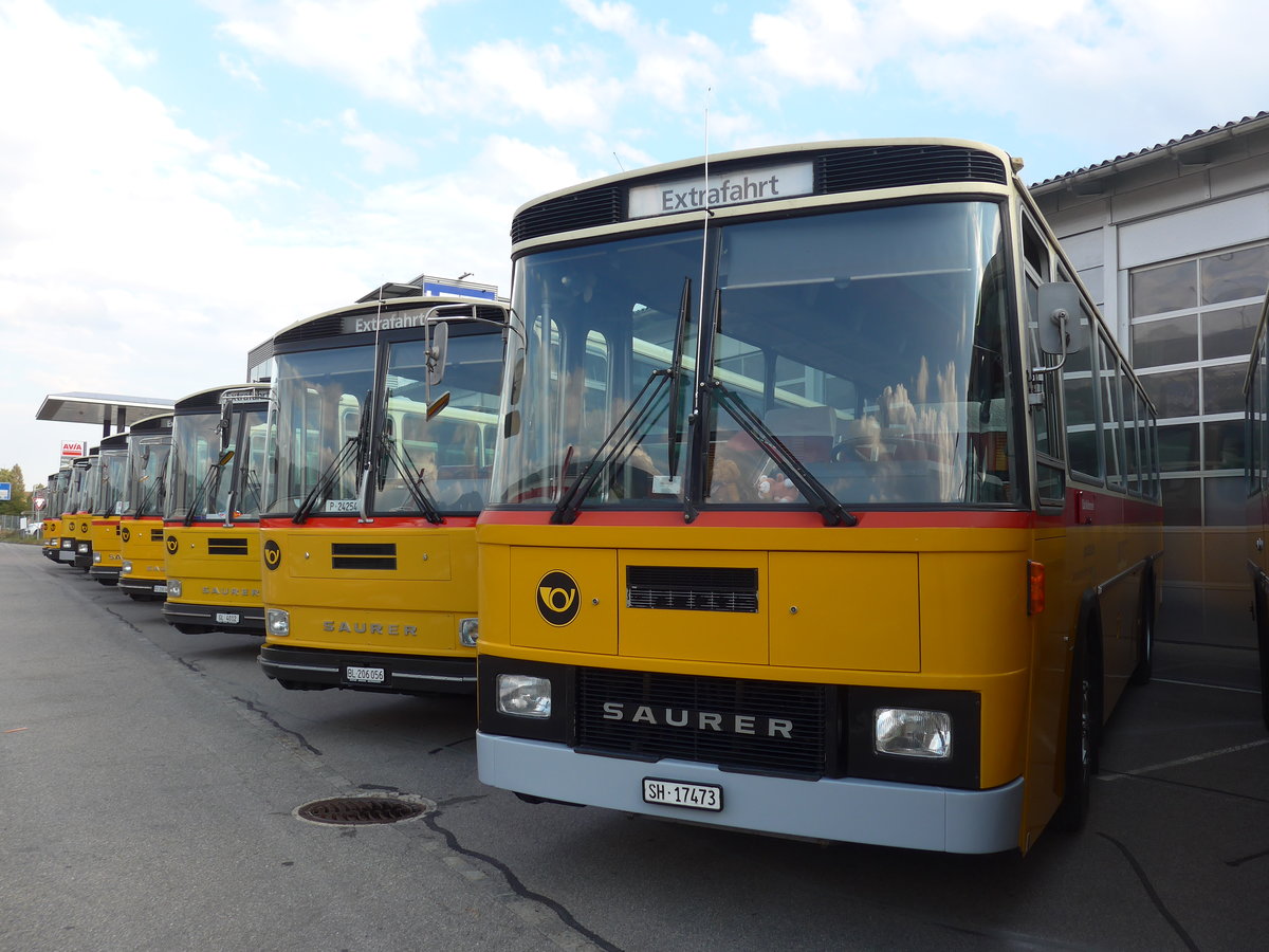 (198'043) - Ruklic, Schaffhausen - SH 17'473 - Saurer/T�scher (ex Schett, Sargans) am 30. September 2018 in Bellach, Hess
